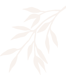 Chez Simo - Elegance Coiffure