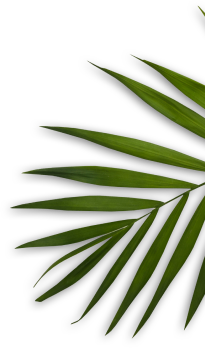 Chez Simo - Elegance Coiffure