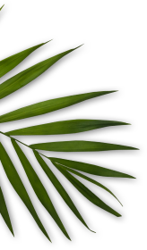 Chez Simo - Elegance Coiffure